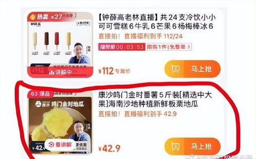 鐘薛高的冰火兩重天 從66元雪糕神話到破產(chǎn)困境